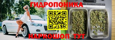 эйфоретик Малгобек