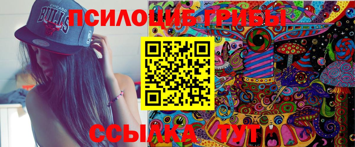 Чита  Галлюциногенные грибы Psilocybe  Вход с VPN 
