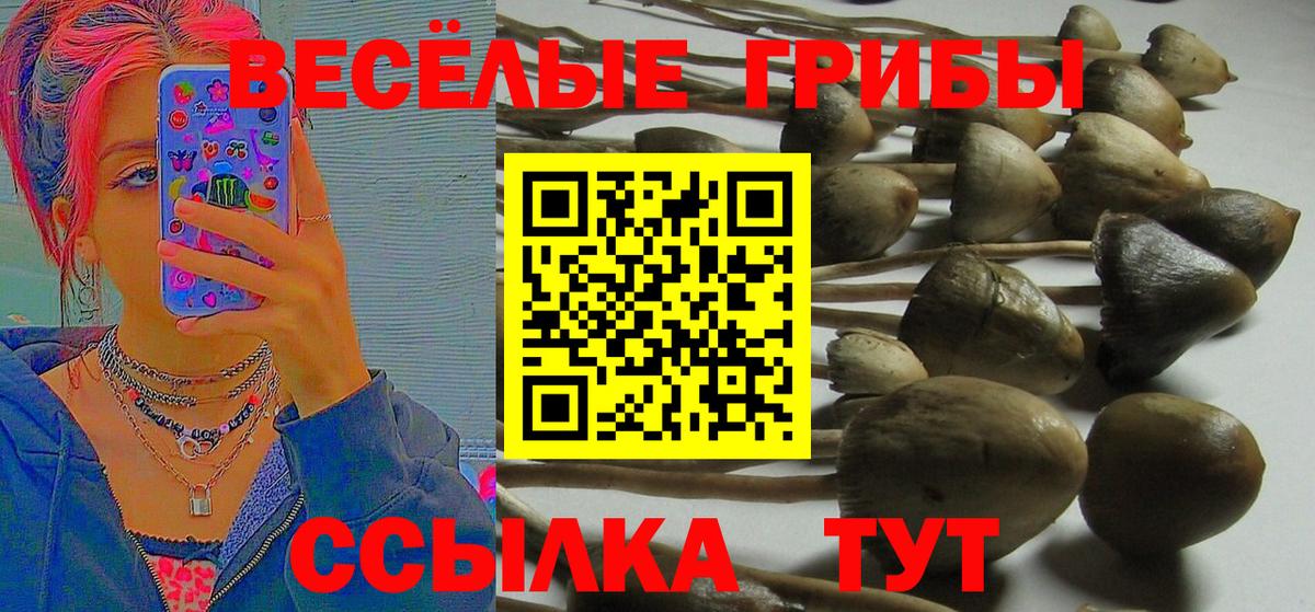Галлюциногенные грибы мицелий Чита