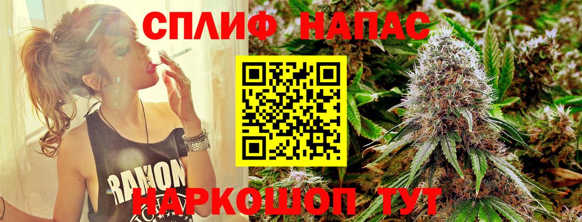 Канабис планчик Чита
